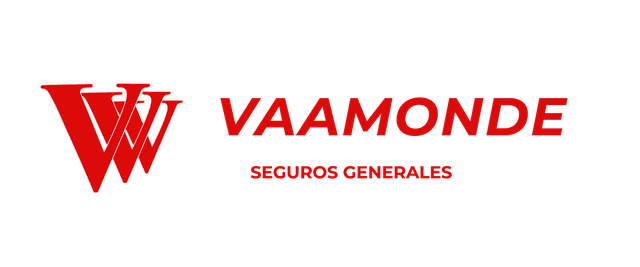 Vaamonde Seguros